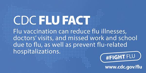 CDC Flu Facts