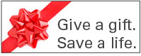 holiday giving gifts that give back bed nets safe water