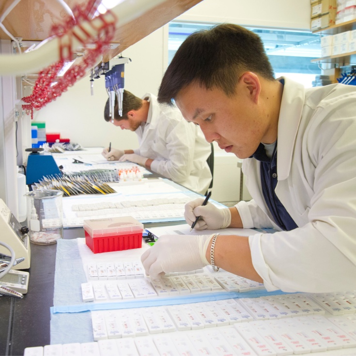 Two people working in a lab