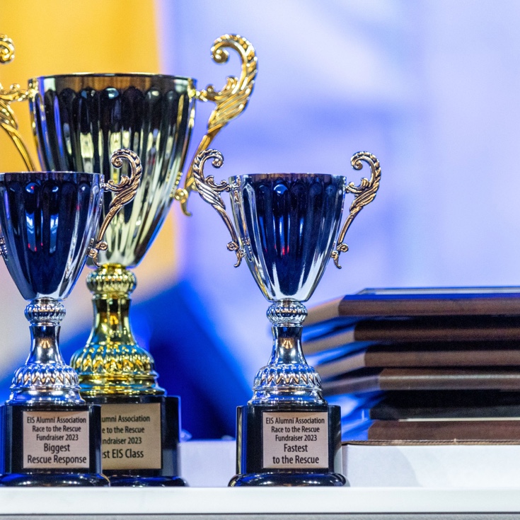 Three trophies standing next to framed awards