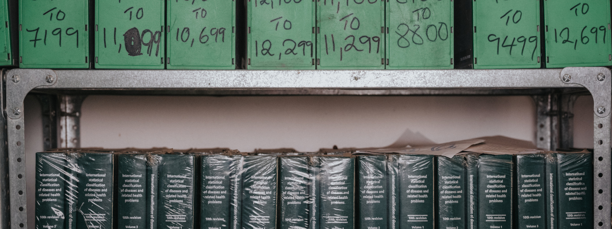 Shelves containing archival material