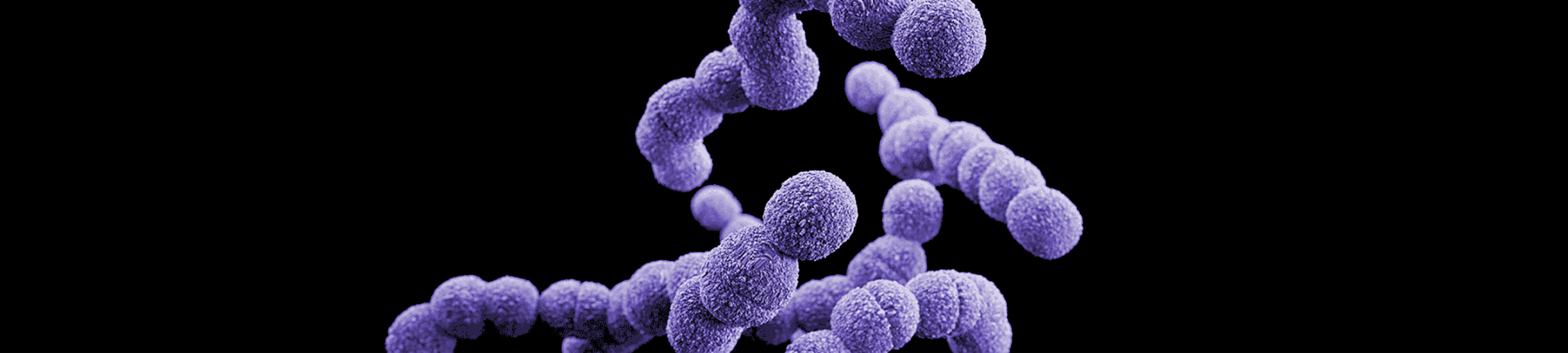Contagious Conversations lead image