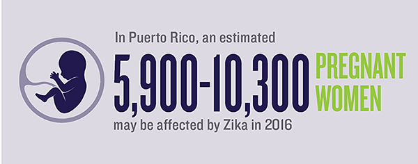 Zika infographic