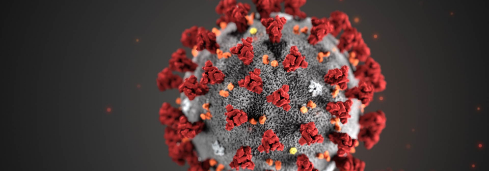 coronavirus