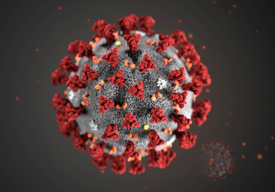 coronavirus