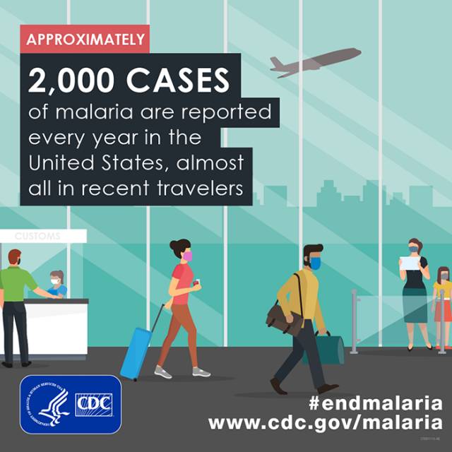 Malaria CDC graphic