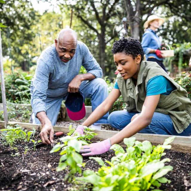 gardening