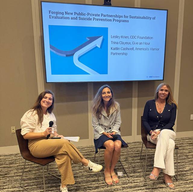 VSPE partner panel