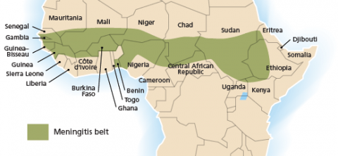 Meningitis Belt in Africa