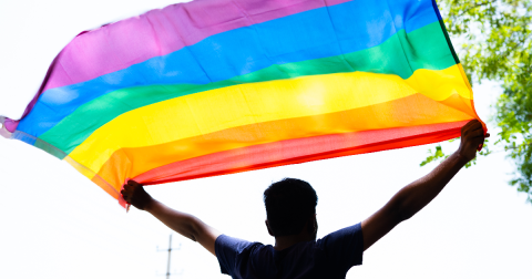 A person with short hair facing away holds up a large rainbow flag. 