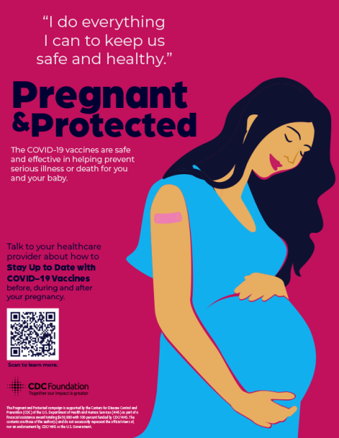 Pregnant and Protected – Safe and Healthy Option 1 – 8.5x11 Poster – English