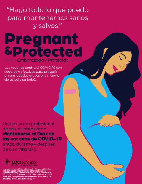 Pregnant and Protected – Safe and Healthy Option 1 – 8.5x11 Poster – Spanish